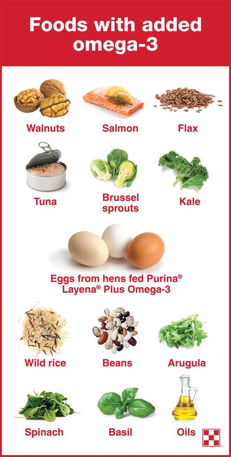 dietitians of canada omega|omega 3 diet plan pdf.